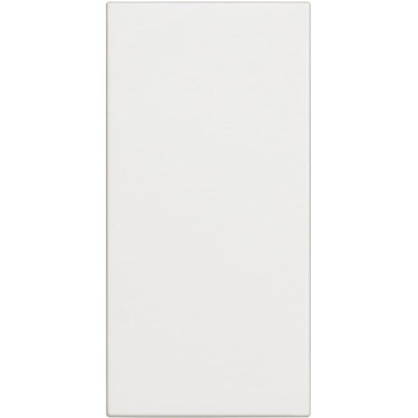 Empty module 1M White - bticino Classia RW4950