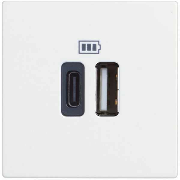 Socket 2XUSB 3000mA 2M White /blister/ - bticino Classia RW4287C2
