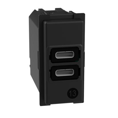 Socket 2x USB type C+C 15W 5V 1M - bticino Living Now K4191CC