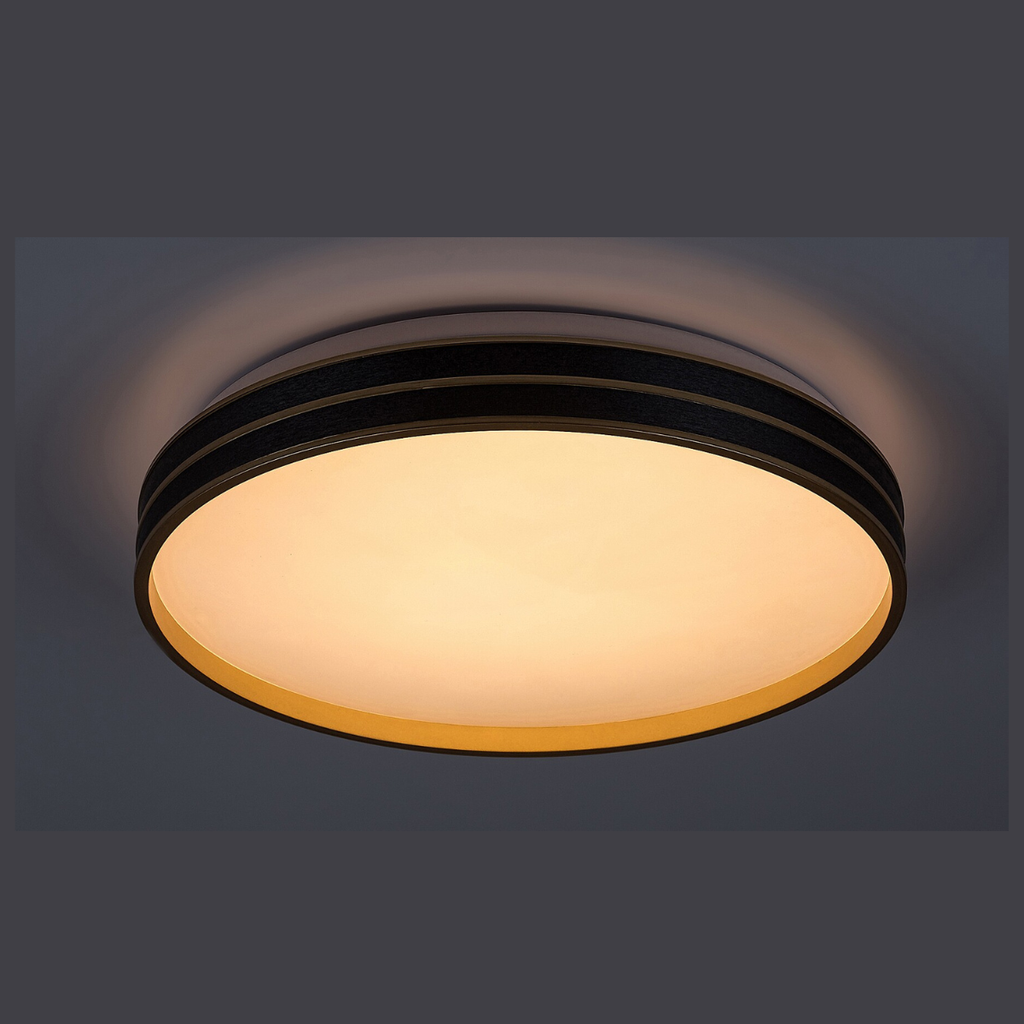 Gandor – модерен LED плафон с дистанционно управление, регулируема светлина, 24W, черен