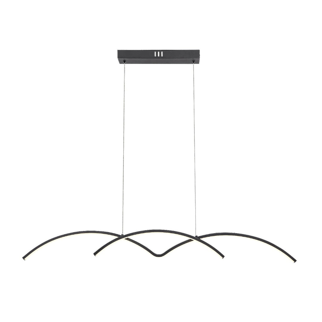 River – hanging pendant lamp, black matte, modern style