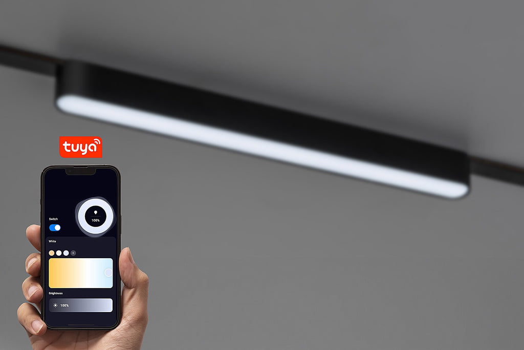 Linear luminaire LiTrack Line09V - RABALUX luminaire 13W, dimmable, Wi-Fi control
