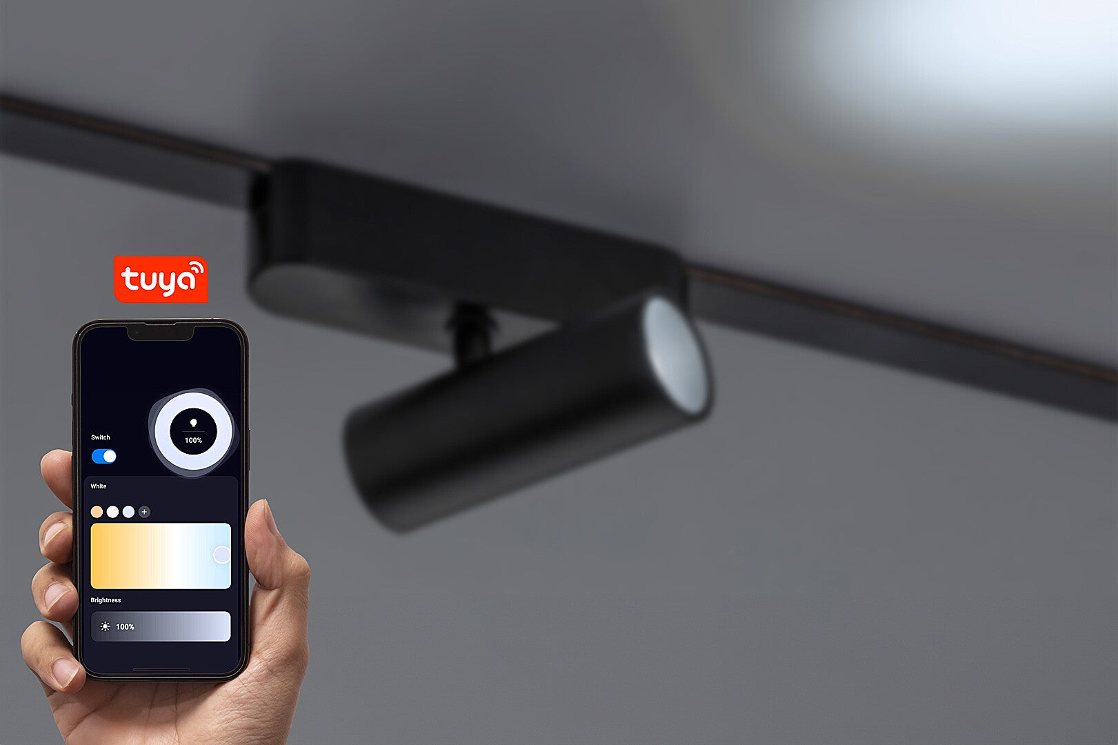 LiTrack Spot06V RABALUX – adjustable track spot 9W, with dimming and Wi-Fi