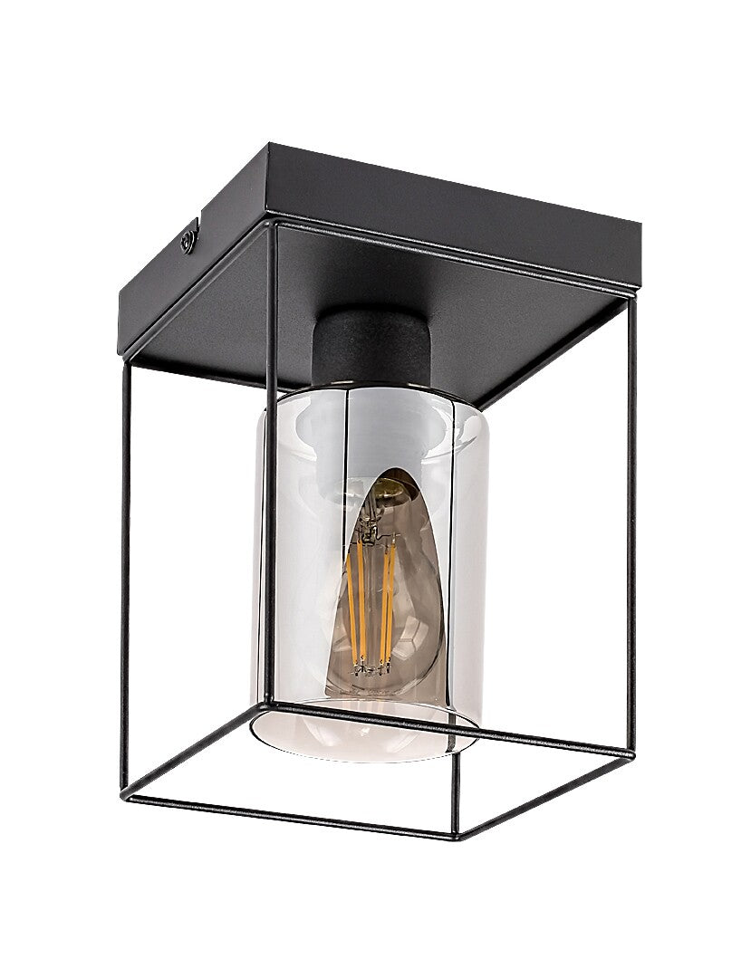Chadwick RABALUX ceiling lamp – modern ceiling lamp with smoked brown glass