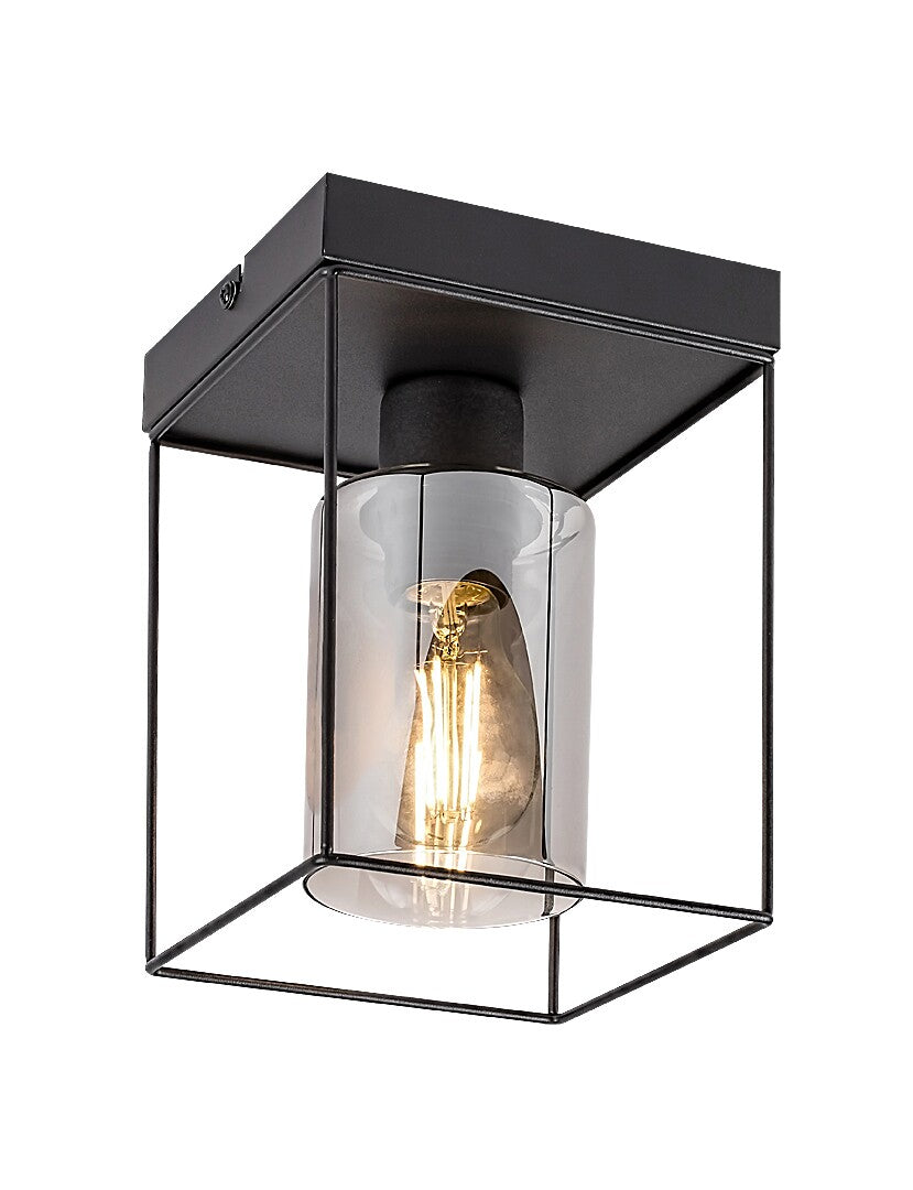 Chadwick RABALUX ceiling lamp – modern ceiling lamp with smoked brown glass