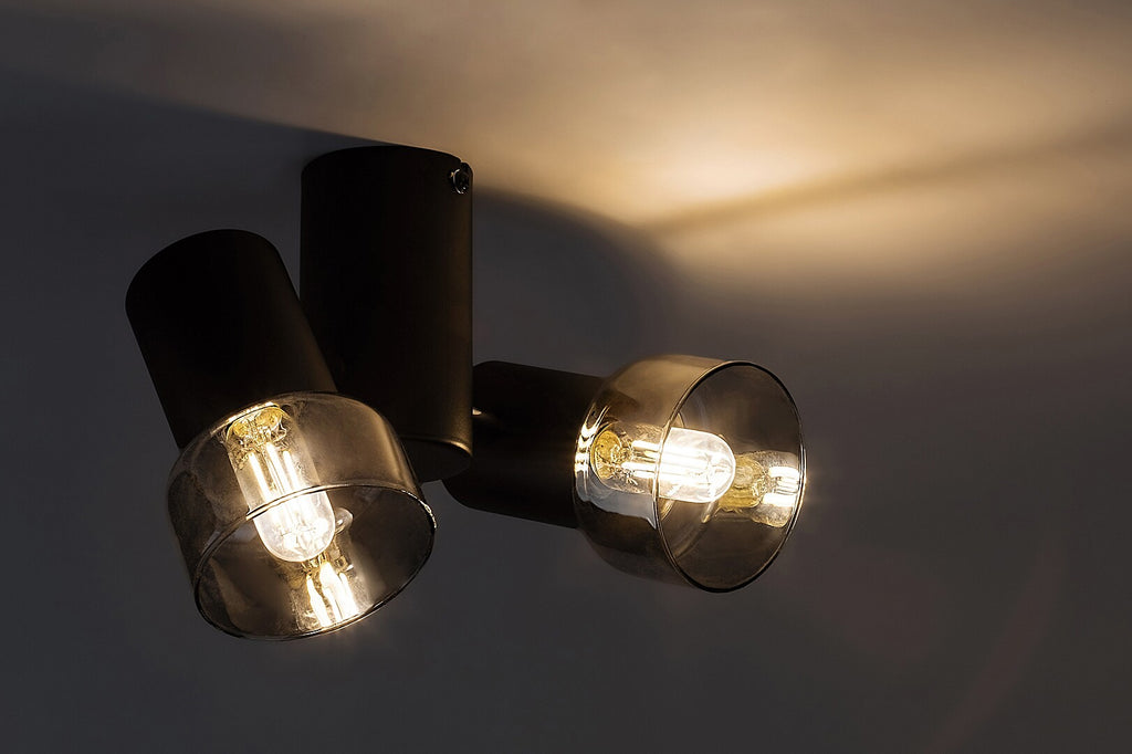 Hatice – Ceiling spotlight with 2 adjustable heads, black metal and smoked glass | RABALUX