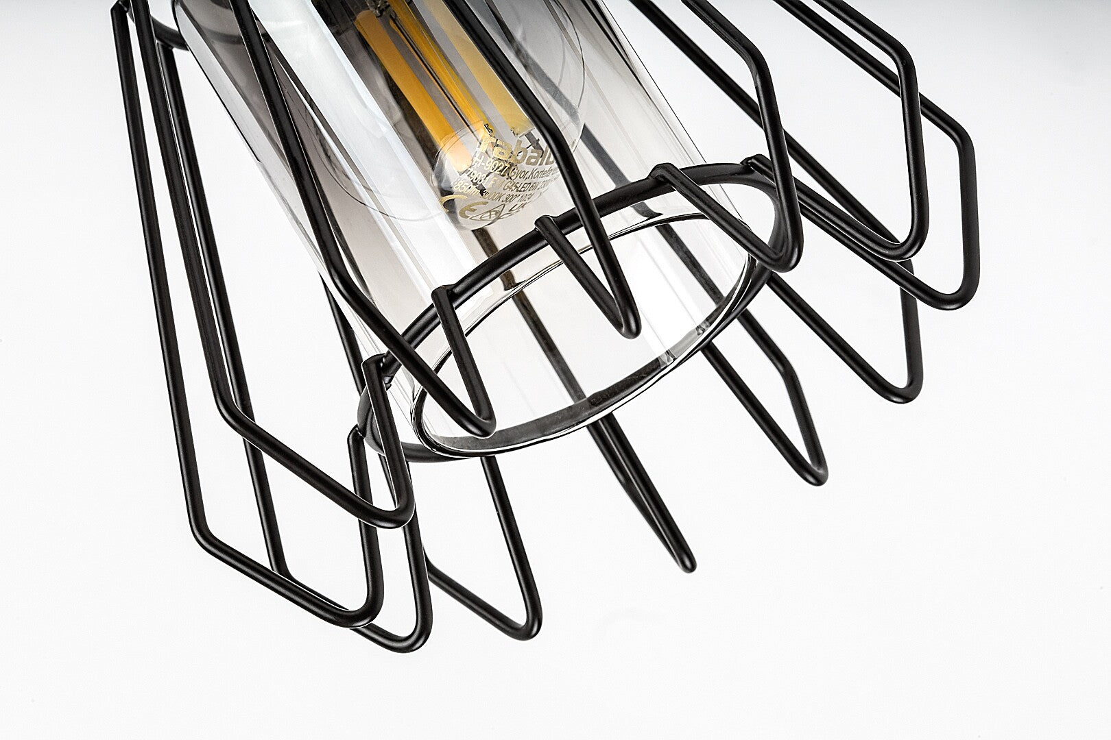Emerencia – Single spot with industrial design and dimmed glass, 1xE14 | RABALUX