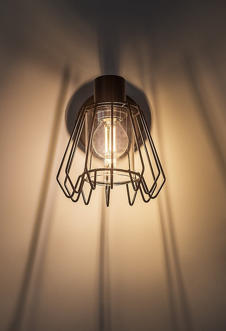 Emerencia – Single spot with industrial design and dimmed glass, 1xE14 | RABALUX