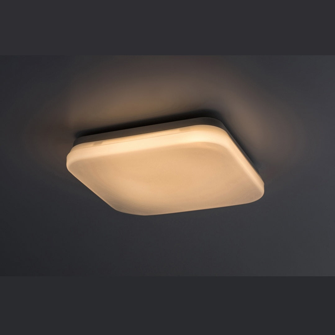 Lowar – външен таванен плафон, бял, 12W LED, регулируема светлина, модерен стил