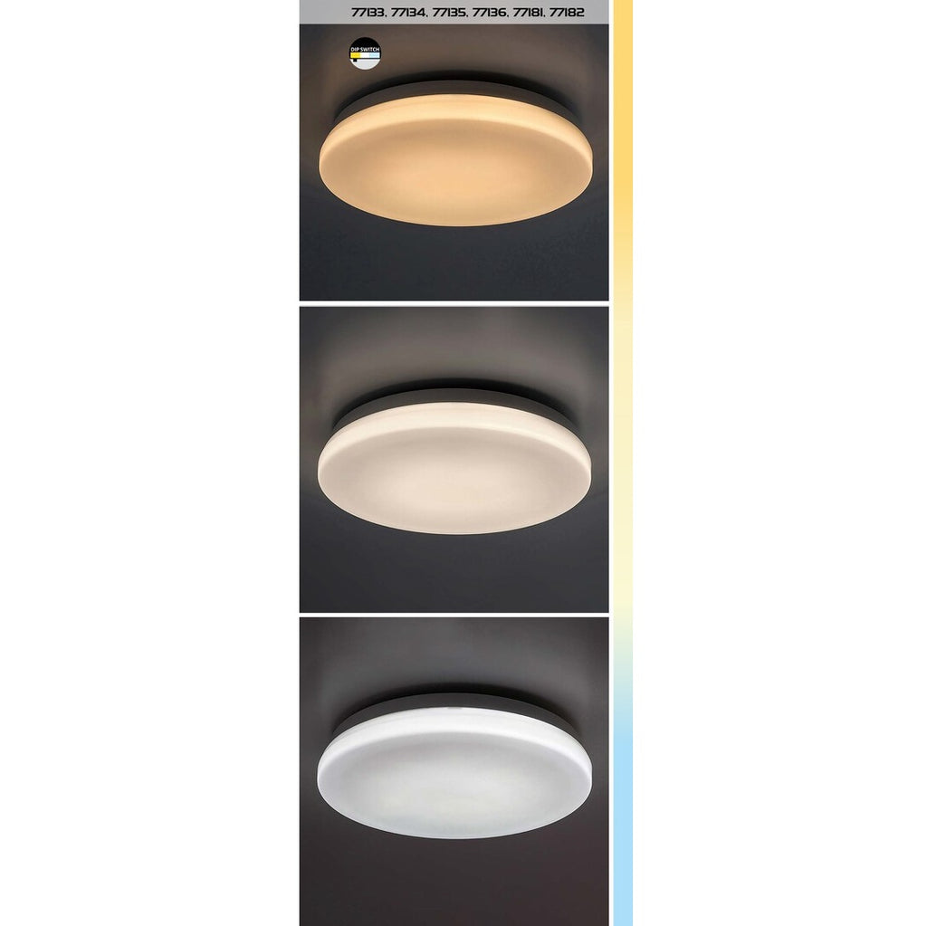 Lowar – външен таванен плафон, бял, 12W LED, регулируема светлина, модерен стил