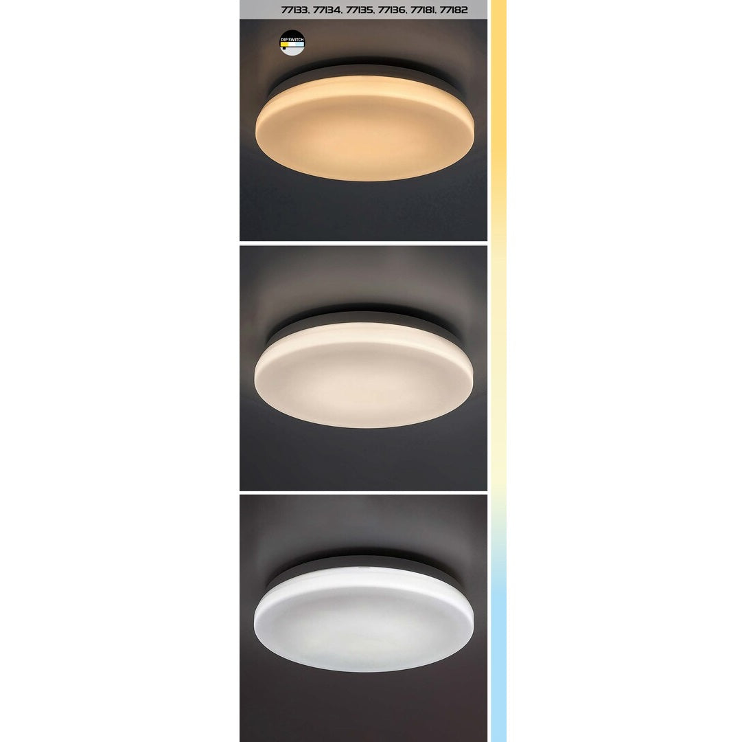 Lowar – външен таванен плафон, бял, 12W LED, регулируема светлина, модерен стил