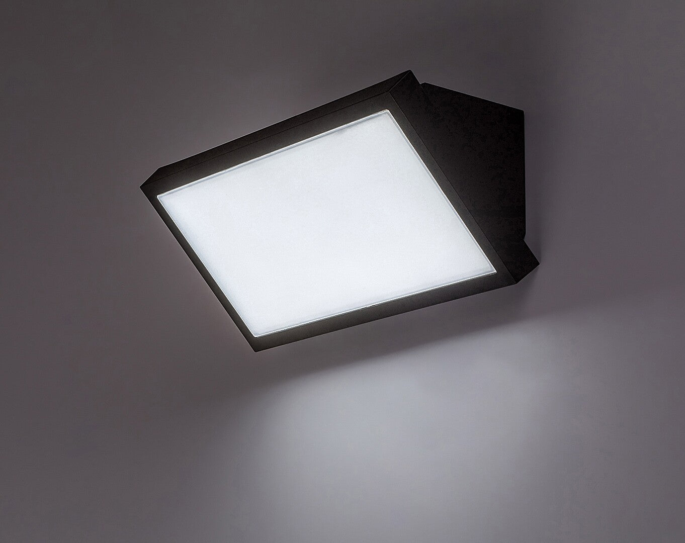 Rapla2 – Външен LED аплик RABALUX, черен, IP65, 18W, регулируема светлина