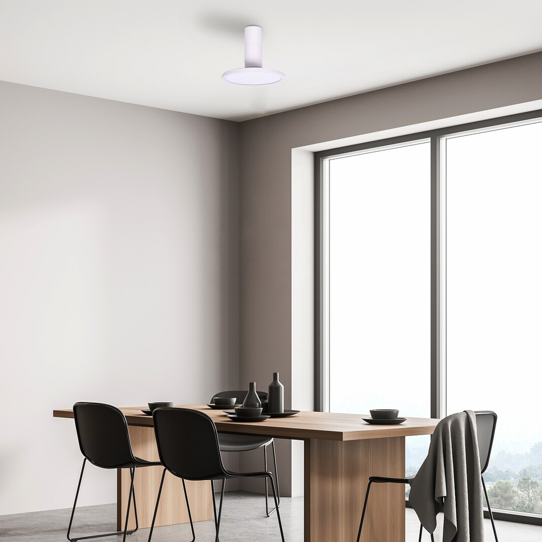 Ovidia – таванна LED лампа, 20W, регулируема дискова глава, технически стил