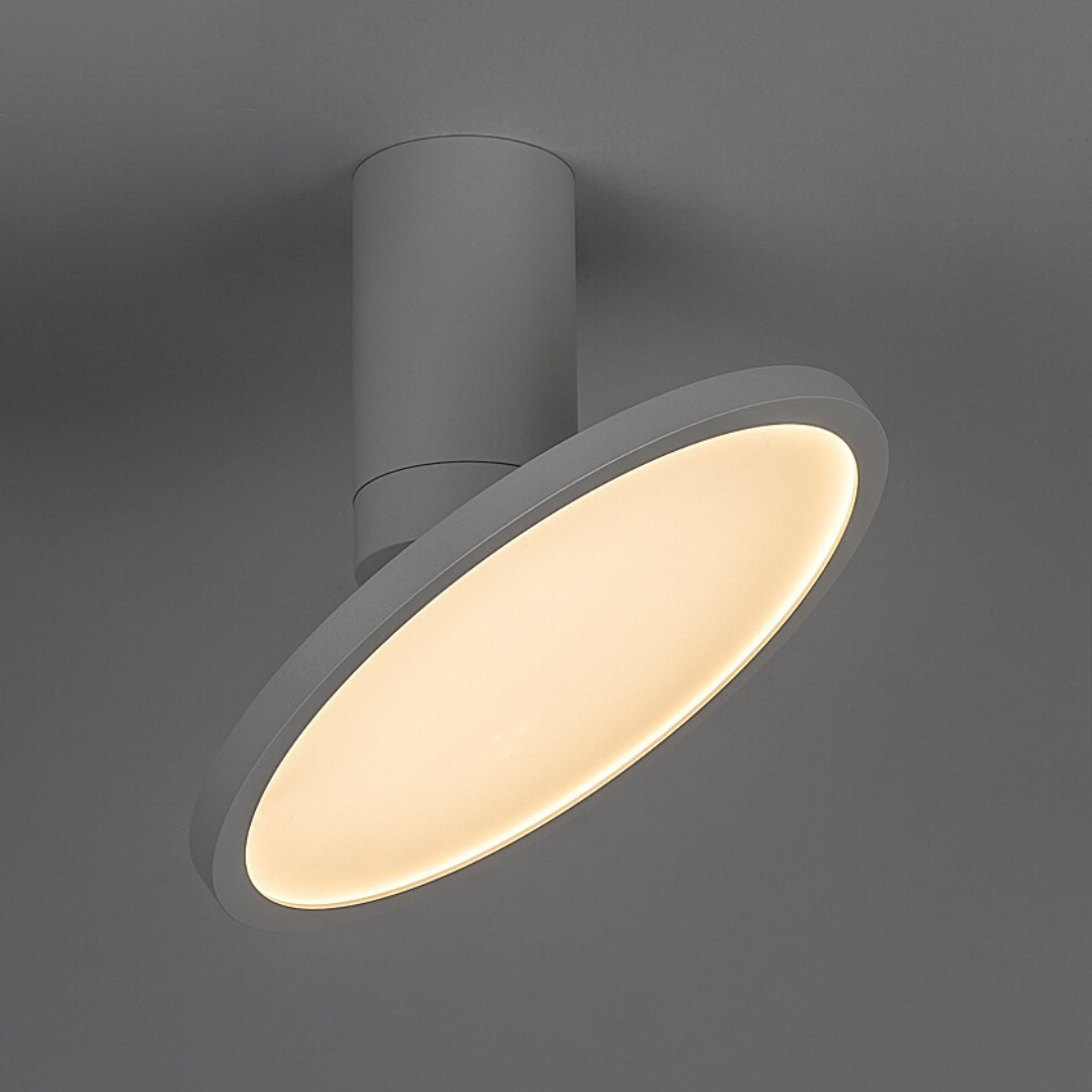 Ovidia – таванна LED лампа, 20W, регулируема дискова глава, технически стил