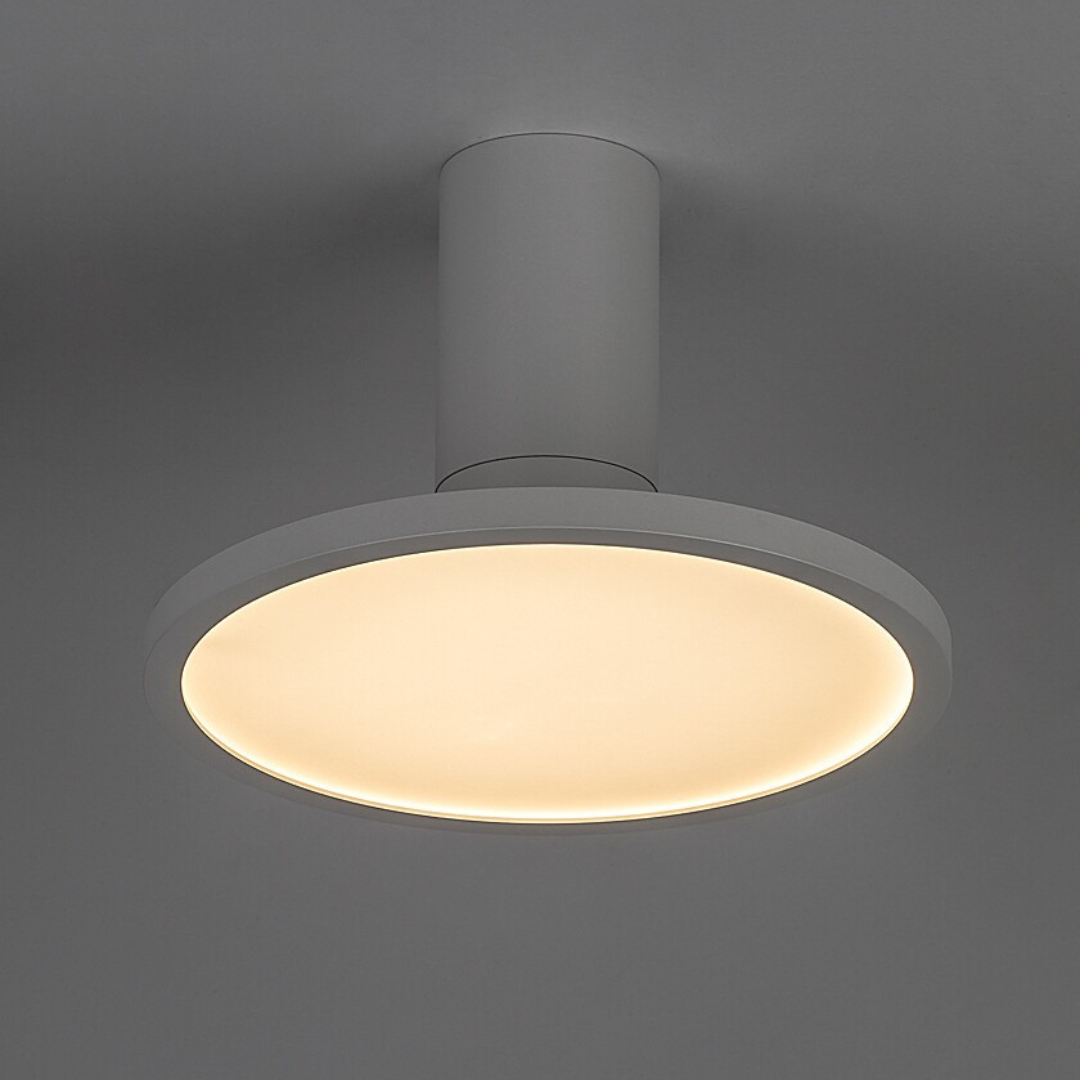 Ovidia – таванна LED лампа, 20W, регулируема дискова глава, технически стил