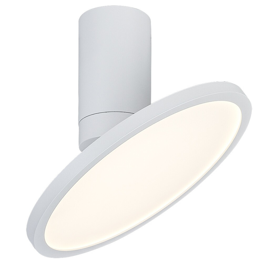 Ovidia – таванна LED лампа, 20W, регулируема дискова глава, технически стил