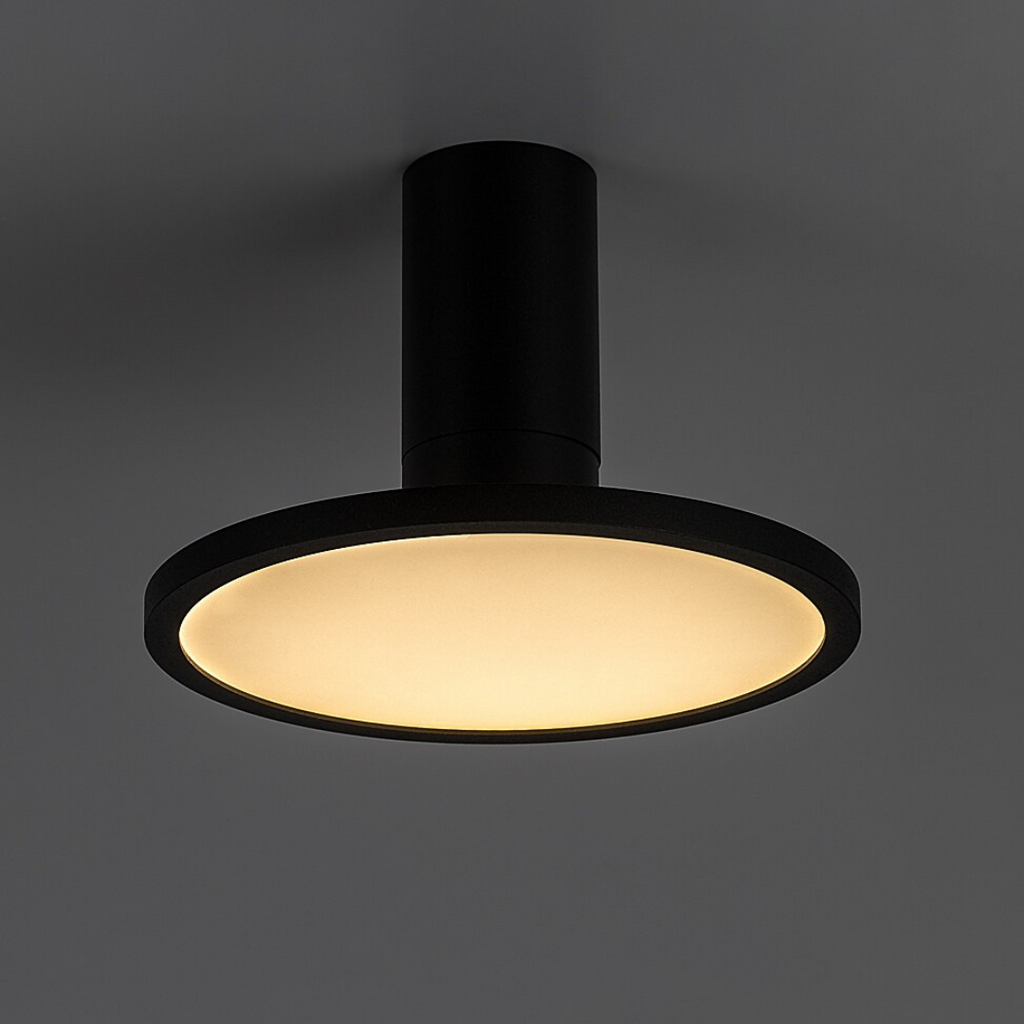Ovidia – таванна LED лампа, 20W, регулируема дискова глава, технически стил