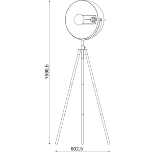 Лампион ML306681FBG CAMARA - AVA Lighting